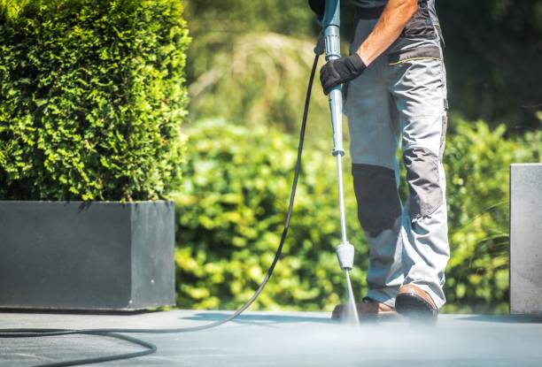 Best Dumpster Area Cleaning  in Woodlands, CA